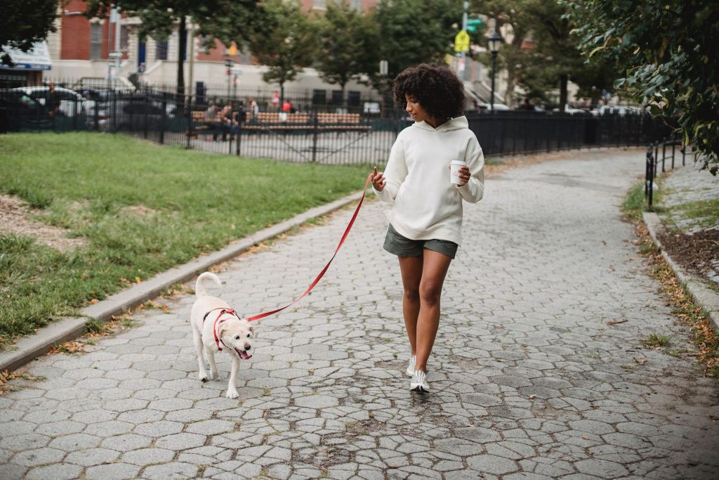  Jeune femme qui promène son chien en ville avec un gobelet à la main