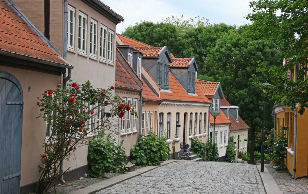 Série de maisons dans une allée en descente avec végétation